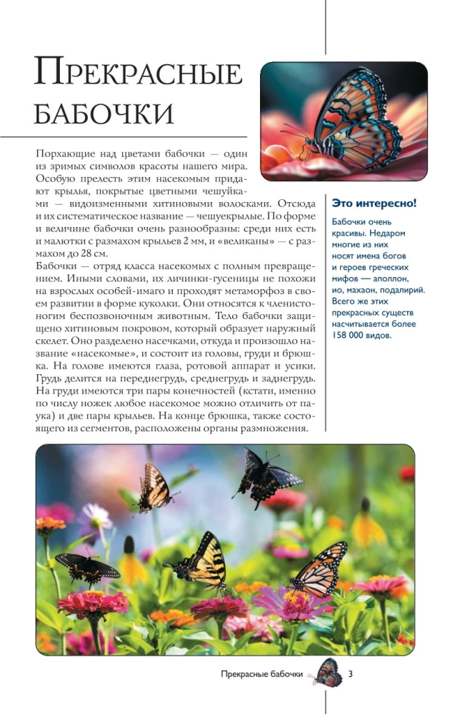 Taureņi. Ilustrēts ceļvedis